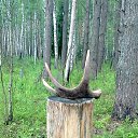 ���� ������, ��������, 50 ��� - ��������� 2 ������� 2015 � ������ ���� ����������