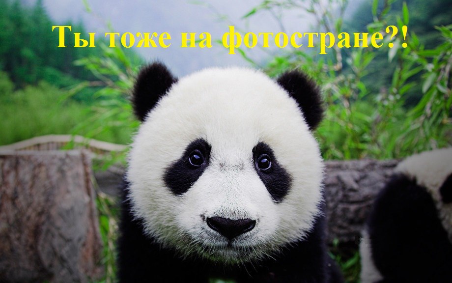 -  - - 15  2015  12:38