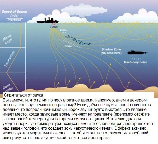 Сонар звук. Зона акустической тени. Тень зоны рыба. Звуковая тень. Сигнал сонара.