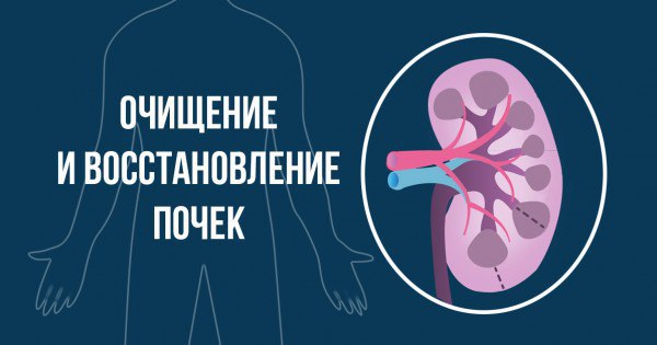 Как наладить работу почек при помощи всего 1 ингредиента! Гидрокарбонат натрия (NaHCO3), или ...