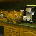 ���� ������, ������-��-���� - ��������� 1 ������� 2016 � ������ ������ ��������