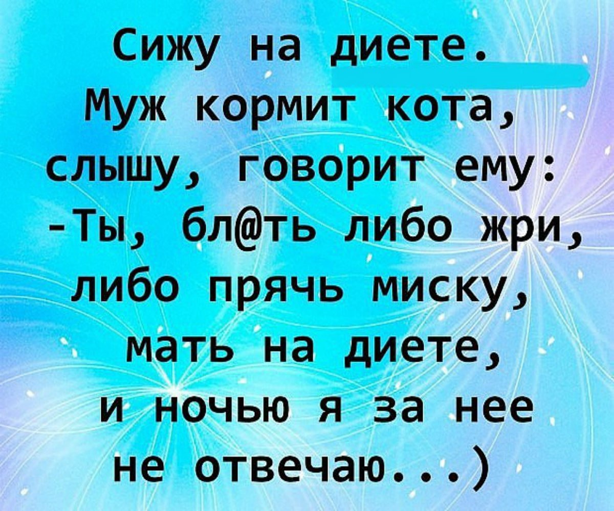 Ответь ночи. Сижу на диете муж кормит кота. Сижу на диете. Сижу на диете прикол. Сижу на диете картинки.