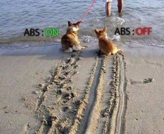     ABS