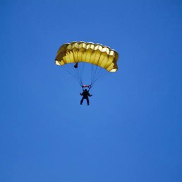 ������, ��������, 47 ���