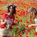 ���� Victor, ������� - ��������� 24 ������� 2016 � ������ ���� ����������