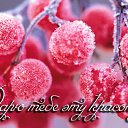 ���� �����, ��������� - ��������� 13 ������� 2015 � ������ �������� ��������