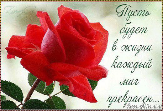 ������� - 9 ������ 2015 � 07:10