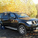 ���� �������, �����������, 43 ���� - ��������� 17 ������� 2015