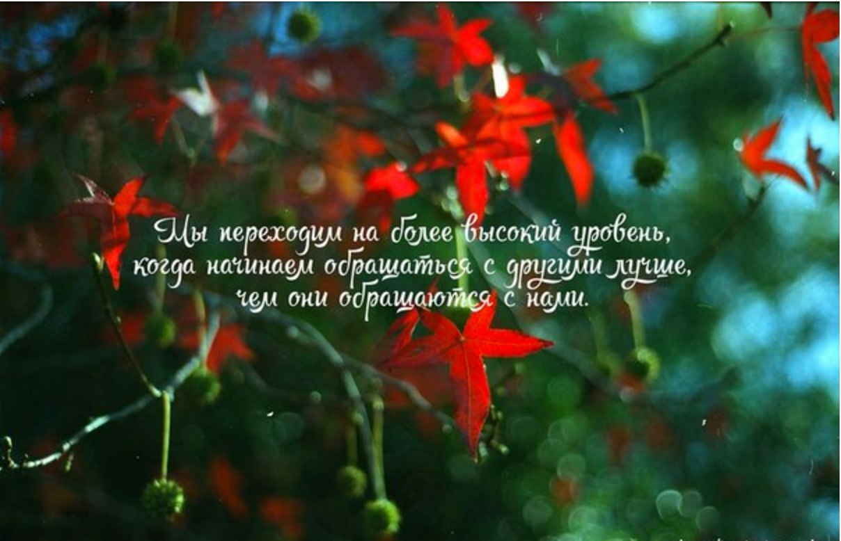 ...����� ���� ���� ������