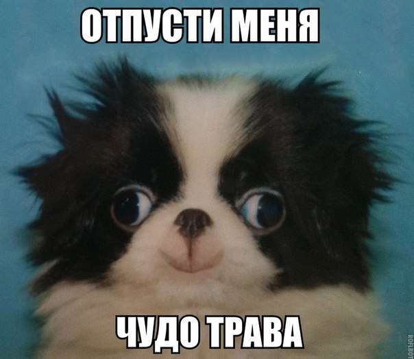 Art & Fun - 3  2016  16:37