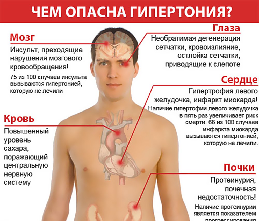 Народное лечение гипертонии. Смешать по 1 ст.л. плодов калины, шиповника, рябины, боярышника и ...