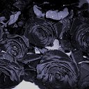 ���� �����, ������ - ��������� 6 ������ 2015 � ������ ������ ��������