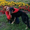 ���� ������, ������, 49 ��� - ��������� 17 ������ 2016 � ������ ���� ����������