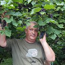 ���� ������, �����������, 62 ���� - ��������� 24 ������� 2015