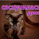 ���� ������;-), ��������, 49 ��� - ��������� 28 ������� 2015 � ������ �������� ��������