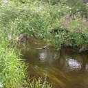  ******, , 53  -  3  2015    