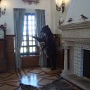 ���� ��������, ������ - ��������� 13 ������� 2015 � ������ �������