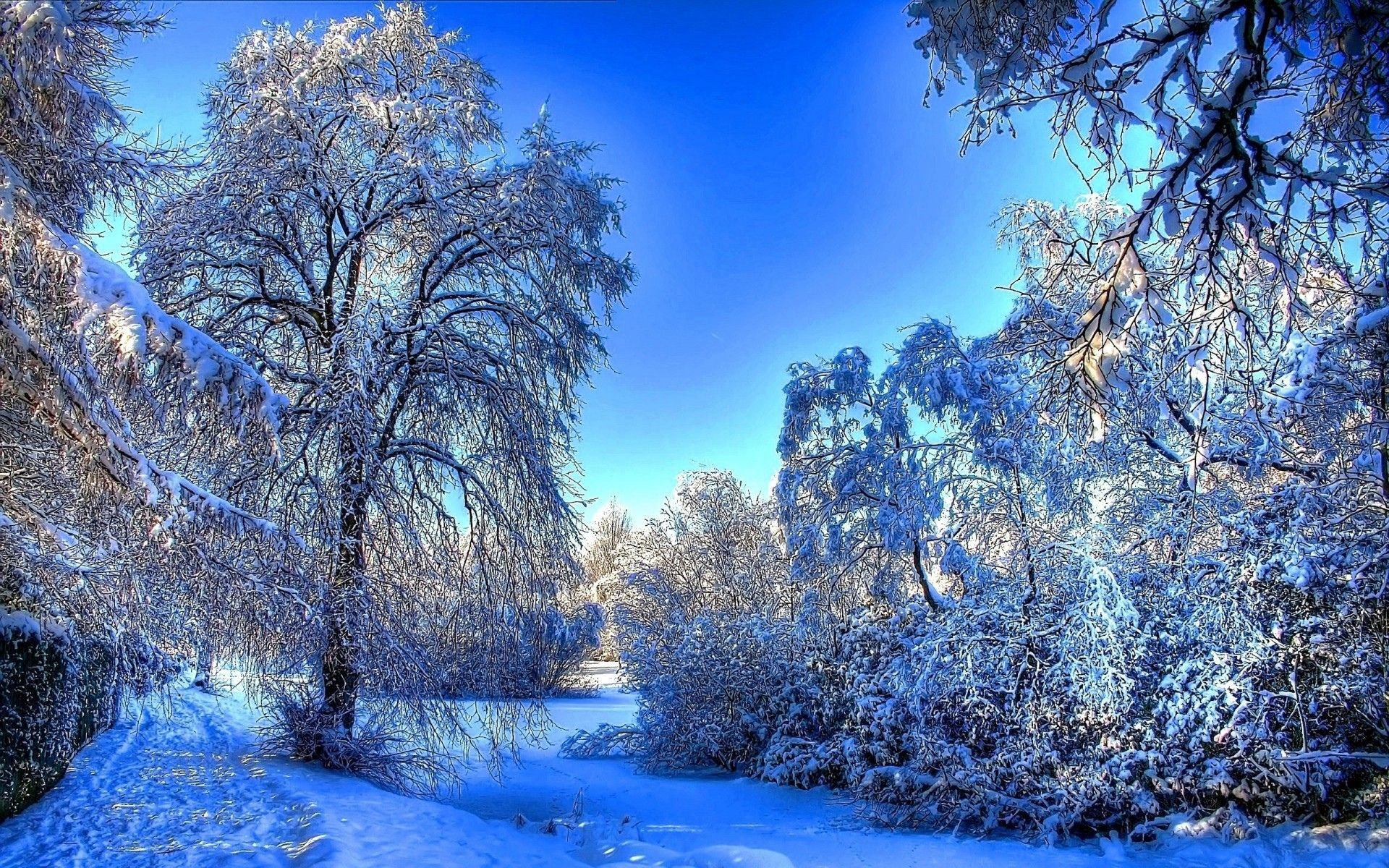 � �����...����� ���� ��������...� �������� ����� ������ ����...�� ���� ������� ��� ... - 2