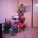 ���� ,����� ���������