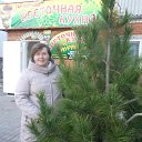 ���� �������, ��������, 54 ���� - ��������� 11 ������� 2015 � ������ ���� ����������