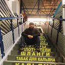 ���� ���� ������, ������, 37 ��� - ��������� 3 ������ 2015 � ������ ���� ����������