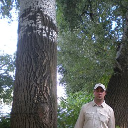 ���� �������, ���������, 53 ���� - ��������� 1 ������ 2016