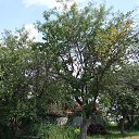 ���� ���������, �����, 58 ��� - ��������� 20 ������ 2015 � ������ ���� ����������