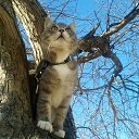  ♥♥, - -  10  2015    