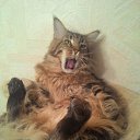 ���� �������, ������, 39 ��� - ��������� 6 ������� 2016 � ������ ���� ����������