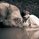 ���� Aleks, ����� ������� - ��������� 13 ������� 2015 � ������ �Elephants�