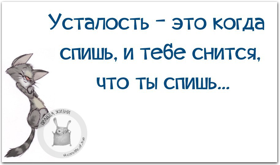 Правда жизни юмор мотивация. Как здорово когда тебя кто-то ждёт картинкисосмыслом. Берегитк друг дркга картинкисосмыслом.