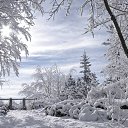 ���� ���, ������ - ��������� 18 ������ 2015 � ������ ���� ����������