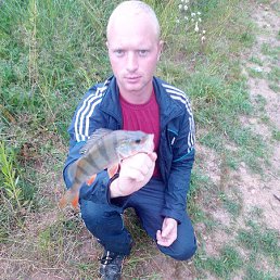 ���� ���������, ��������, 37 ��� - ��������� 28 �������� 2015