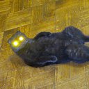  ����� ���� ����� �� ������� ���� ����������