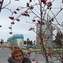 ���� �����, ��������, 64 ���� - ��������� 27 �������� 2015