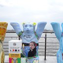  ,  -  24  2015    2015 