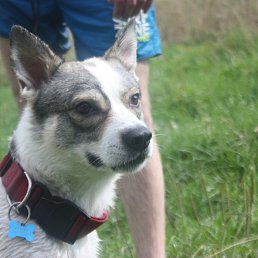 ���� ������, ������, 45 ��� - ��������� 22 ������ 2016