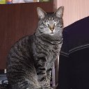 ��� ����� �� ������� ���� ����������