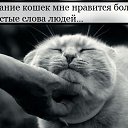 ���� ����, �����-���������, 43 ���� - ��������� 4 ������� 2015 � ������ ������ ��������