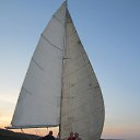  A, , 78  -  29  2015    