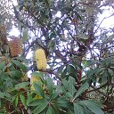 ���� ������� ��������, �����������, 61 ��� - ��������� 23 ������ 2016 � ������ ���� ����������