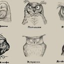 ���� ������, �����-���������, 40 ��� - ��������� 12 ������� 2016 � ������ ���� ����������