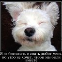 ���� �����, ����, 57 ��� - ��������� 8 ������ 2015 � ������ ������ ��������