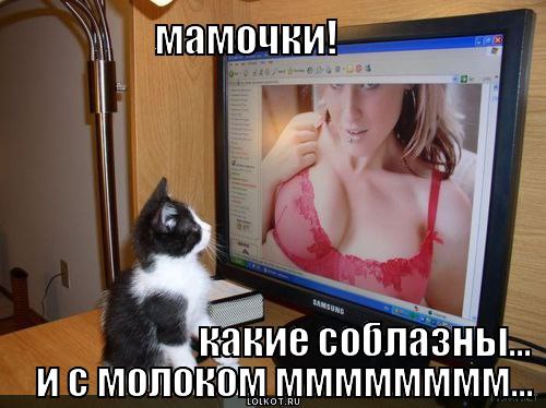  )) - 13  2015  07:53