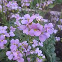 ���� ������, ������, 36 ��� - ��������� 7 ������ 2016 � ������ ������ ��������