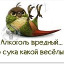 ���� ���������, ����, 70 ��� - ��������� 1 ������� 2016 � ������ ������ ��������