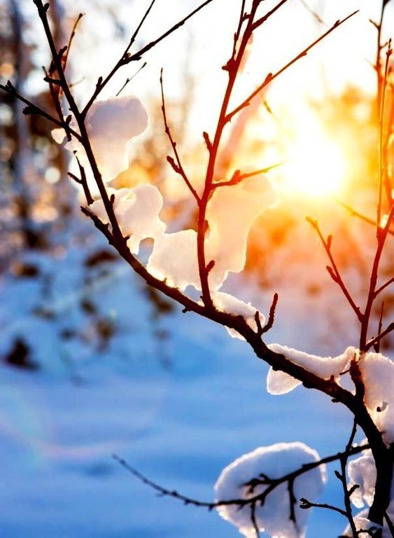 ������� ������� | ���� | ����� - 13 ������� 2015 � 17:40 - 3