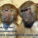 ���� �����, �������� - ��������� 20 ������ 2016