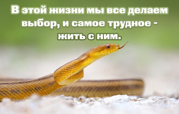 .https://fotostrana.ru/away?to=/sl/kxC2 - 26  2016  07:03