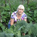 ���� ���������, �����, 56 ��� - ��������� 2 ����� 2016